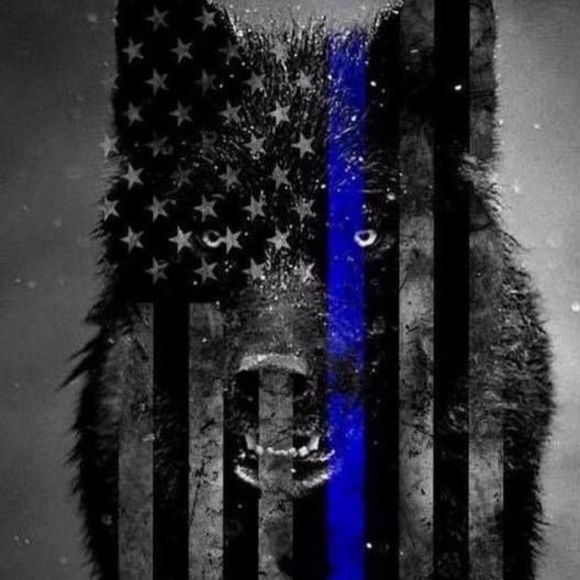 Meet your Posher, Phillip - Picture 1 of 1